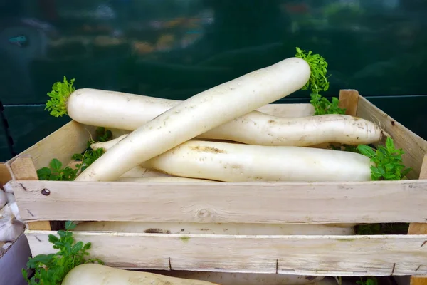 Dose mit Daikon Rettich — Stockfoto