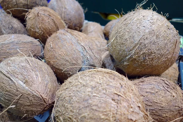 Pile di noci di cocco — Foto Stock