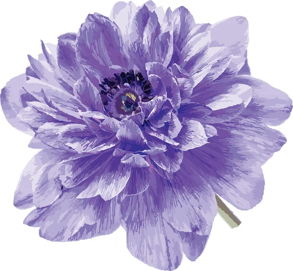 Fiore blu su bianco (vettore ) — Vettoriale Stock
