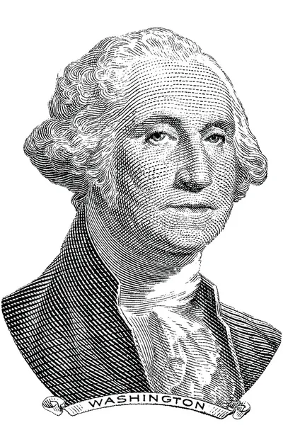 George washington (vektör) — Stok Vektör