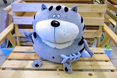  Bir iskelet balık ile kedi 