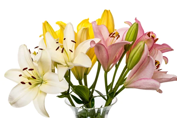 Lilies in a glass vase on white — Stock Photo, Image