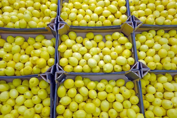 Limones en un mostrador —  Fotos de Stock