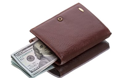 portefeuille met nieuwe dollars