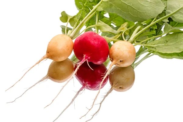 Three radishes and reflection — Stock Photo, Image