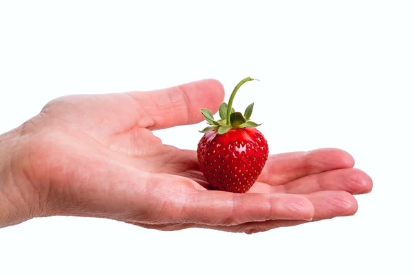 Fragola alla mano — Foto Stock