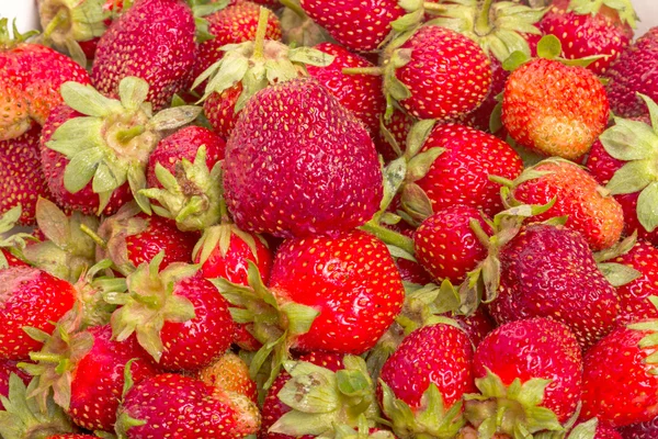 成熟的草莓的背景 — 图库照片