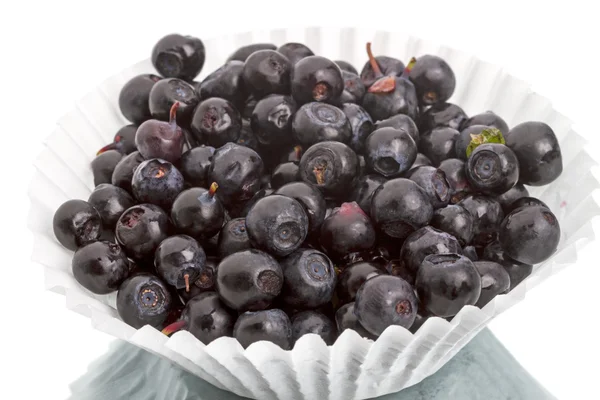 Ripe black blueberry in a paper vase — Stock Photo, Image