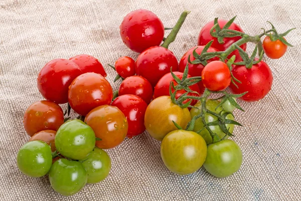 Cepille los tomates en la arpillera —  Fotos de Stock