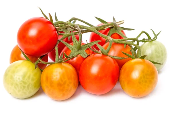 Štětec rajčata na bílém pozadí — Stock fotografie
