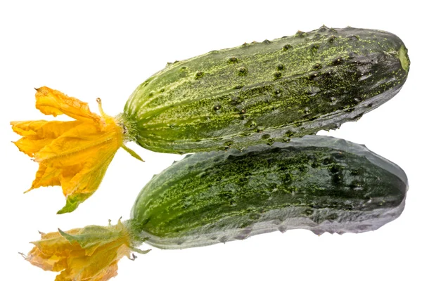 Cucumber with flower — Stock Photo, Image