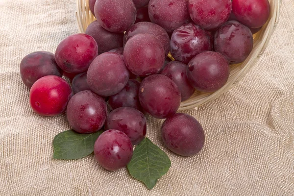 Sprinkled red plum — Stock Photo, Image