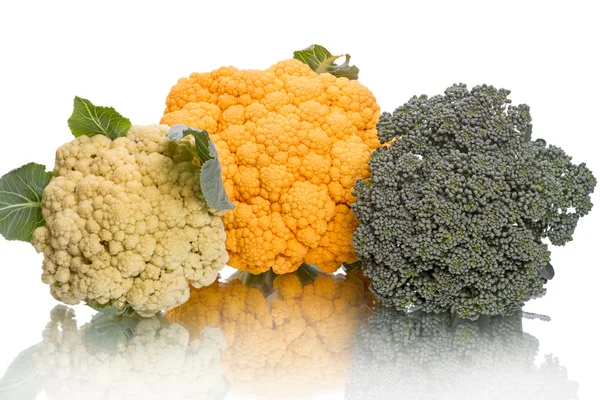 Brócoli, coliflor blanca y amarilla —  Fotos de Stock