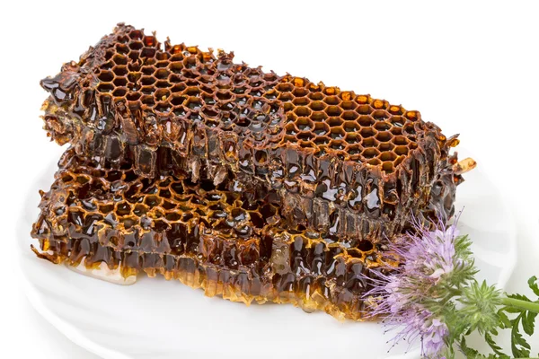 Honey comb — Stock Photo, Image