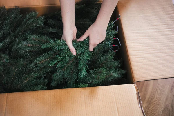 Mulher Mãos Tomando Uma Árvore Natal Artificial Ramos Uma Grande — Fotografia de Stock