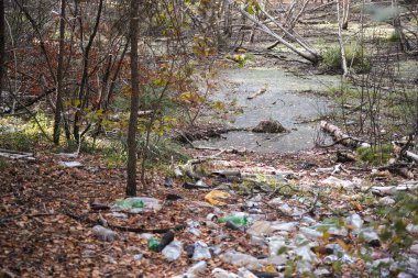 Ormanın yakınlarında bir çöp yığını olan bataklık.