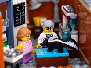 Tambov, Rusya Federasyonu - 08 Ocak 2022 Bir Lego kokarcası, veteriner kliniğinin teftiş masasının üzerinde duruyor..