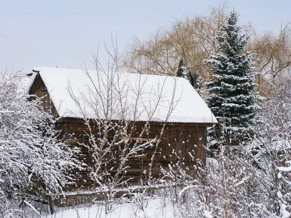 冬天的时候一座古老的木头房子和被雪覆盖的树 图库照片