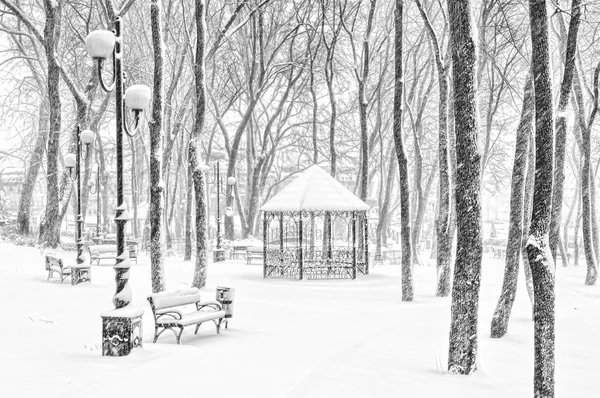 Kar yağışıweather condition... — Stok fotoğraf