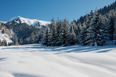 Kış Dağı Manzarası