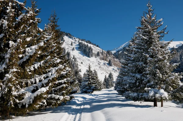 Paesaggio montano invernale — Foto Stock