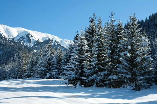 Paesaggio montano invernale — Foto Stock