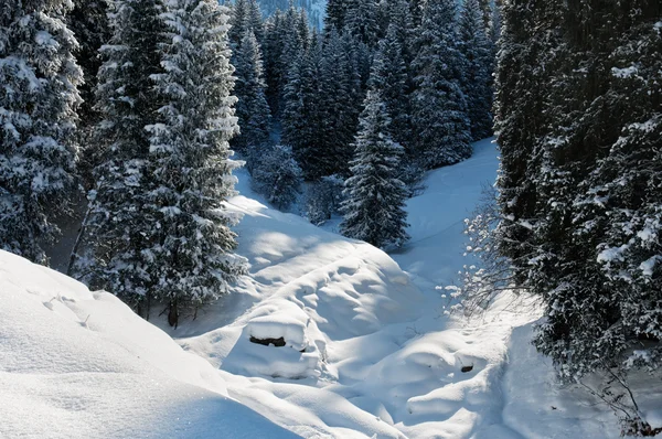 Χειμερινό ορεινό τοπίο — Φωτογραφία Αρχείου