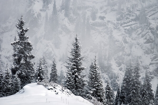 Winter in the mountains