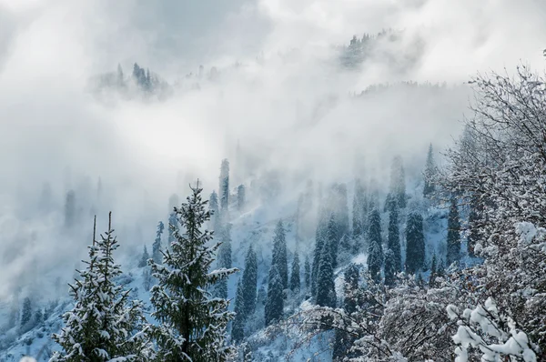 Inverno nas montanhas — Fotografia de Stock