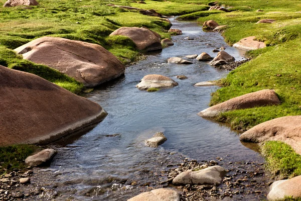 Beautiful little stream — Stock Photo, Image