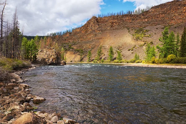 Fluss in der Mongolei verschüttet. — Stockfoto