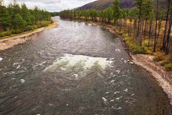 Floden shishged i Mongoliet. — Stockfoto