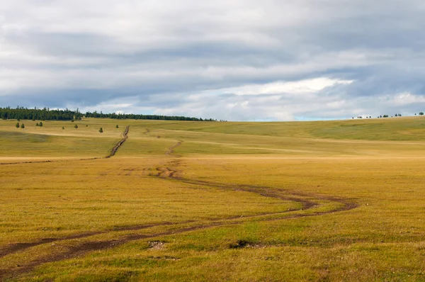 Hauteur vallée du lang dans le nord de la Mongolie — Photo