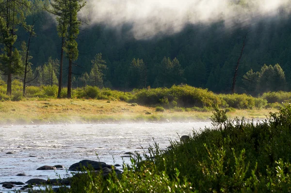 Nebbia mattutina sul fiume nel nord della Mongolia — Foto Stock