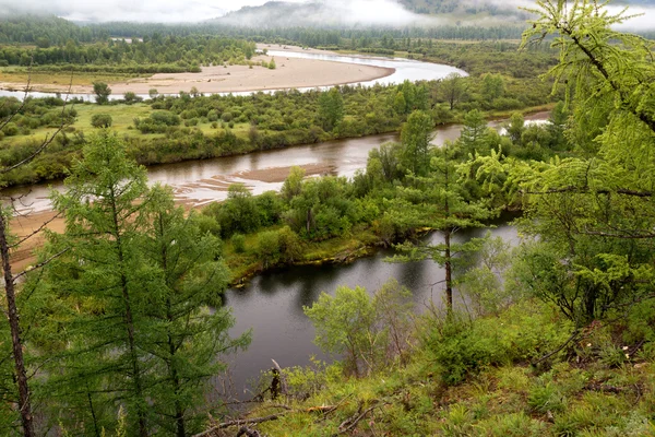 Sungai di Mongolia utara — Stok Foto