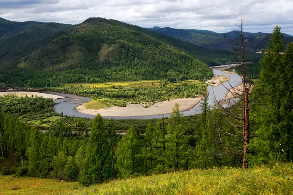 River in northern Mongolia — Stock Photo, Image