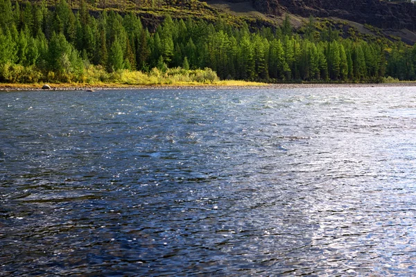 Fluss in der Mongolei verschüttet. — Stockfoto