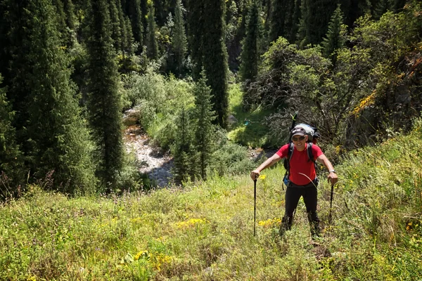 Backpacker в горах — стокове фото