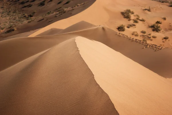 Sanddüne — Stockfoto