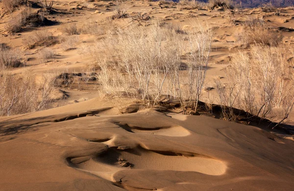 Sand desert — Stock Image Sand desert Stock Picture