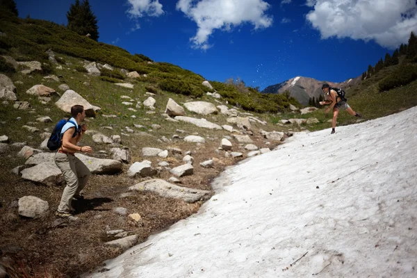 In the summer mountains — Stock Photo, Image