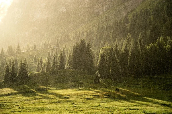 Rain in the summer mountains — Stock Photo, Image