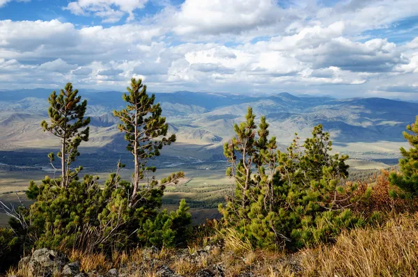 Valle del fiume Bukhtarma, Kazakistan orientale — Foto Stock