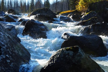 Doğu Kazakistan'ın rakhmanovskoe Nehri