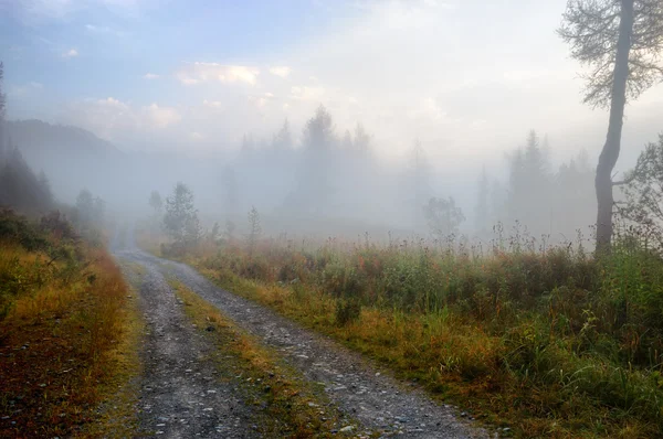 Αγροτικό δρόμο και ομίχλη — Φωτογραφία Αρχείου