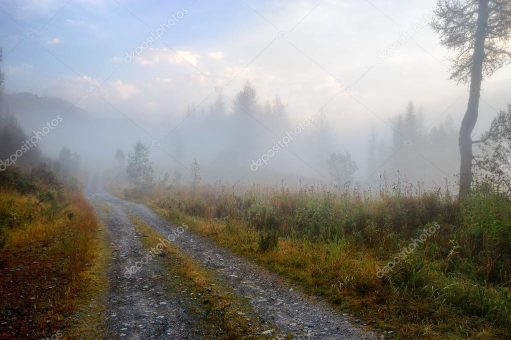 Rural road and fog