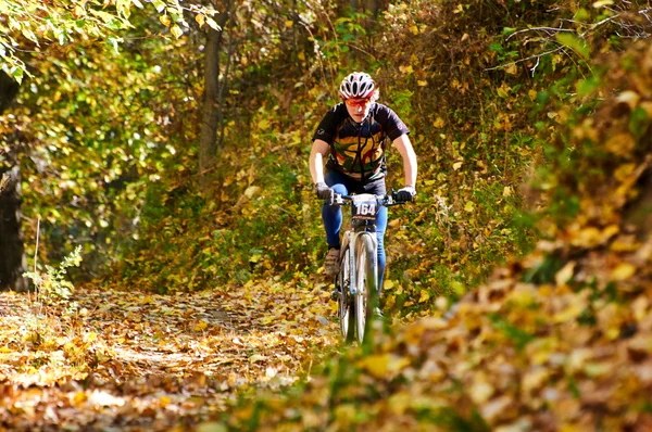 Mountain bike competitie — Stockfoto