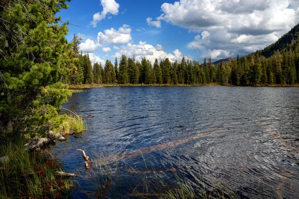 Lake Small Yazevoe, Altai, Kazakhstan — Stock Photo, Image