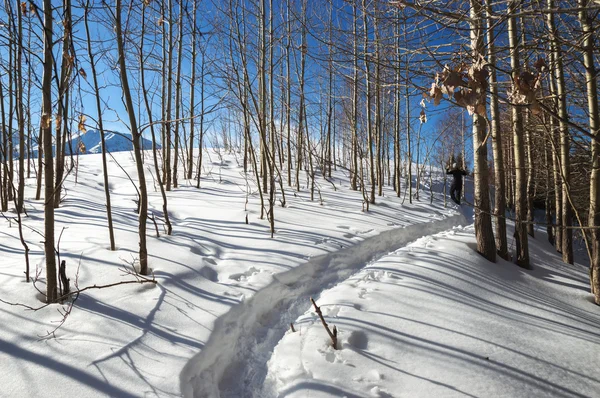 Giovane ragazzo inverno a piedi in montagna — Foto Stock