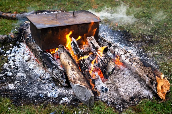 Tillagning av fisk i en brand — Stockfoto